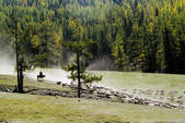 tkf005_2316334