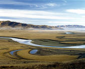 tkf005_2316383
