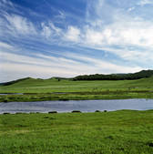 tkf005_2316404