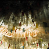 tkf005_2316490