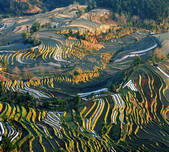 tkf005_2316543