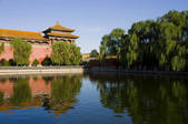 tkf005_2316959