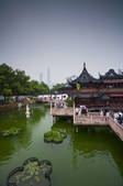 tkf005_2317336