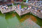 tkf005_2317653