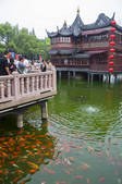 tkf005_2317654
