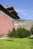 tkf005_2317841