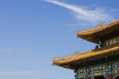 tkf005_2317873