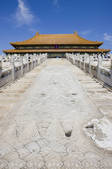 tkf005_2317874