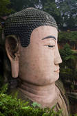 tkf005_2318009