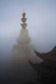 tkf005_2318075