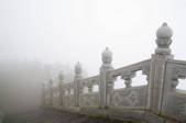 tkf005_2318077