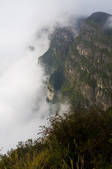 tkf005_2318106