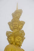 tkf005_2318111