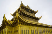 tkf005_2318139