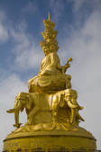 tkf005_2318142