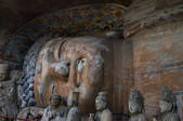 tkf005_2318146