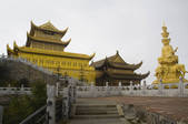 tkf005_2318153