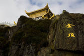 tkf005_2318205