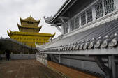 tkf005_2318210
