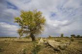 tkf005_2318621
