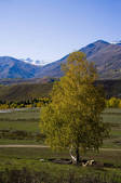 tkf005_2318775