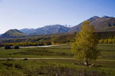 tkf005_2318776