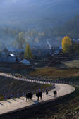 tkf005_2318876