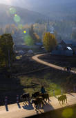 tkf005_2318877