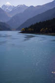tkf005_2319009