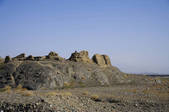 tkf005_2319063