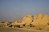 tkf005_2319142