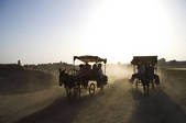 tkf005_2319147