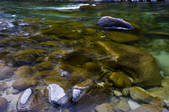 tkf005_2319305