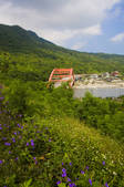 tkf005_2319914