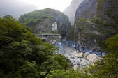 tkf005_2319950