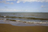 tkf005_2320028