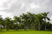 tkf005_2320094