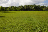 tkf005_2320096