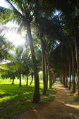 tkf005_2320098