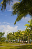 tkf005_2320141