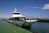 tkf005_2320320