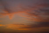 tkf005_2320621