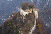 tkf005_2320622
