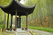 tkf005_2322780