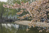 tkf005_2323995