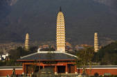 tkf005_2337342