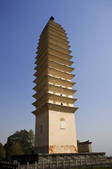 tkf005_2337350