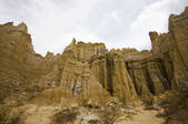 tkf005_2337431