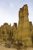 tkf005_2337438