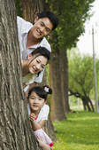 tkf005_2338114